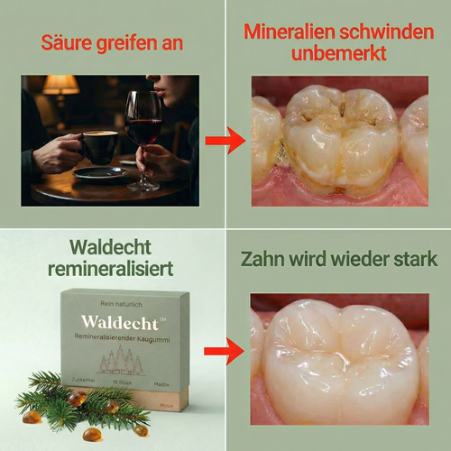Waldecht – Remineralisierender Kaugummi