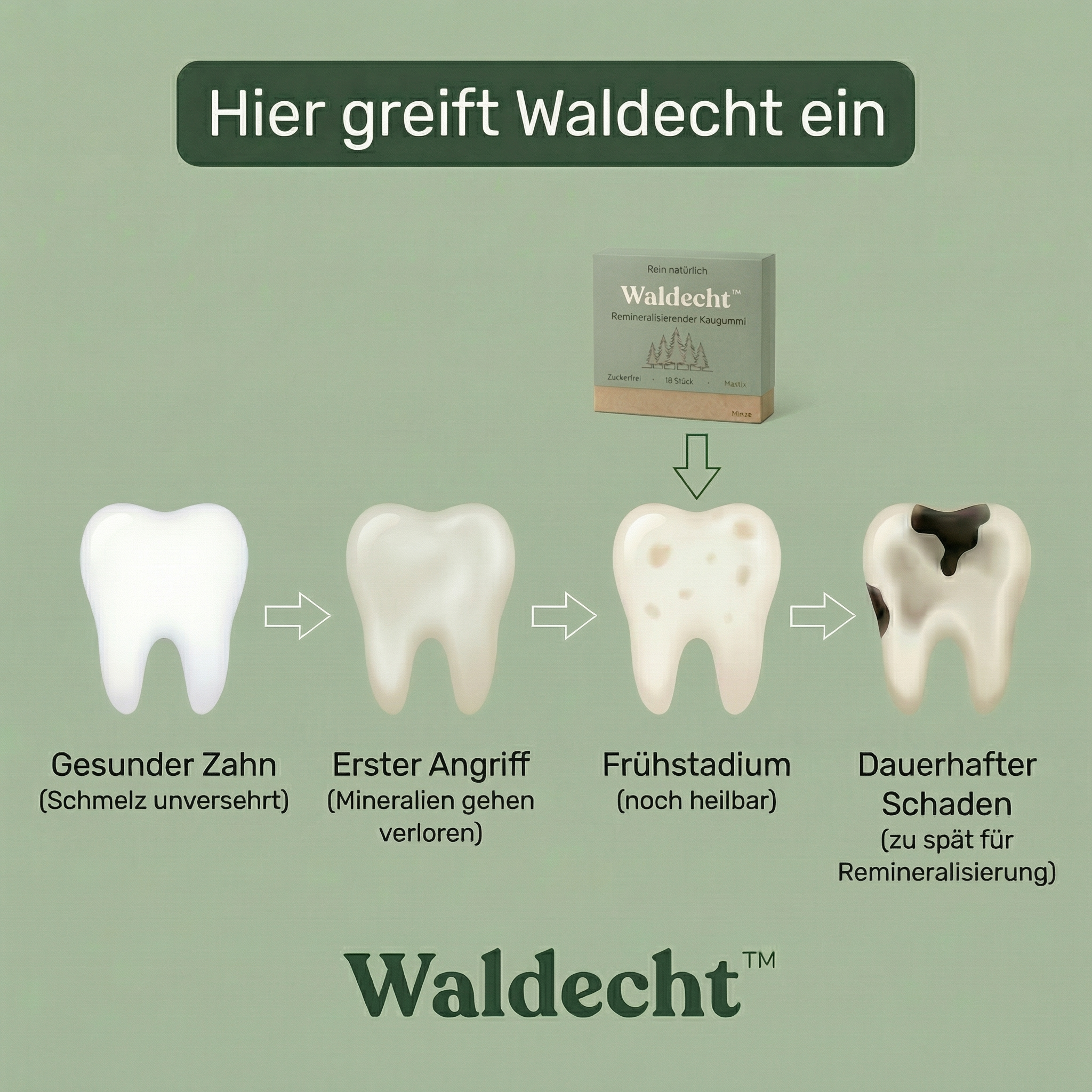 Waldecht – Remineralisierender Kaugummi