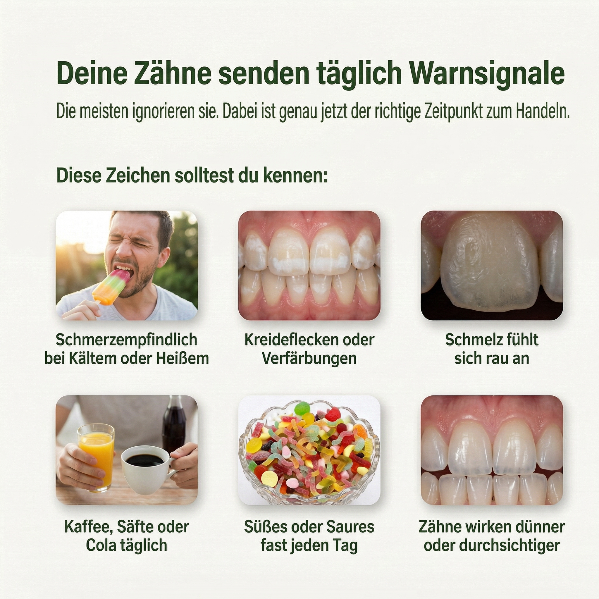 Waldecht – Remineralisierender Kaugummi